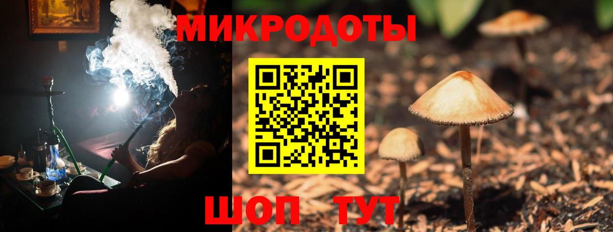 Псилоцибиновые грибы мицелий  Вход с VPN  Арзамас  Галлюциногенные грибы прущие грибы 